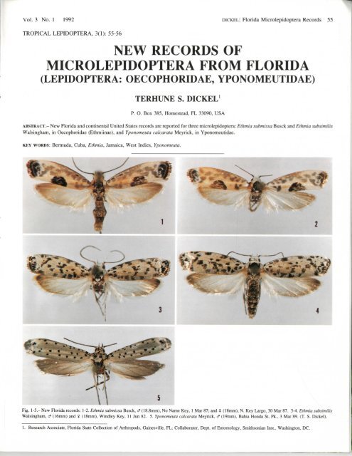 new records of microlepidoptera from florida - Association for