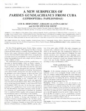 A NEW SUBSPECIES OF PARIDES GUNDLACHIANUS FROM CUBA