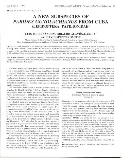 A NEW SUBSPECIES OF PARIDES GUNDLACHIANUS FROM CUBA