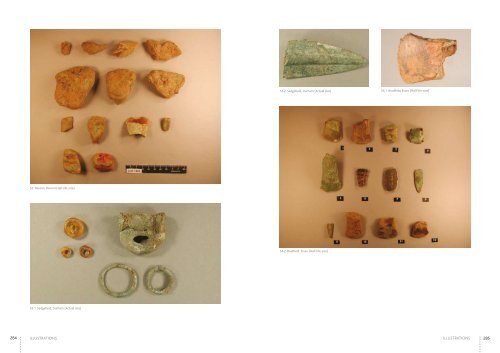 TREASURE ANNU AL REPORT 2005/6 - Portable Antiquities Scheme