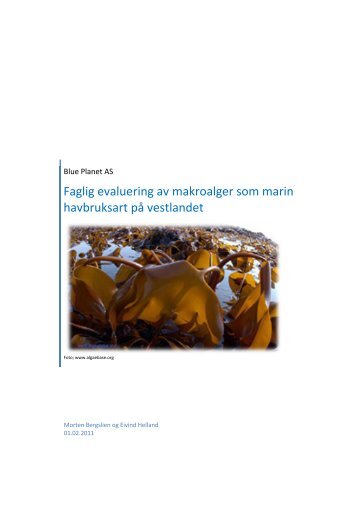 Faglig evaluering av makroalger som marin ... - RUP Norge