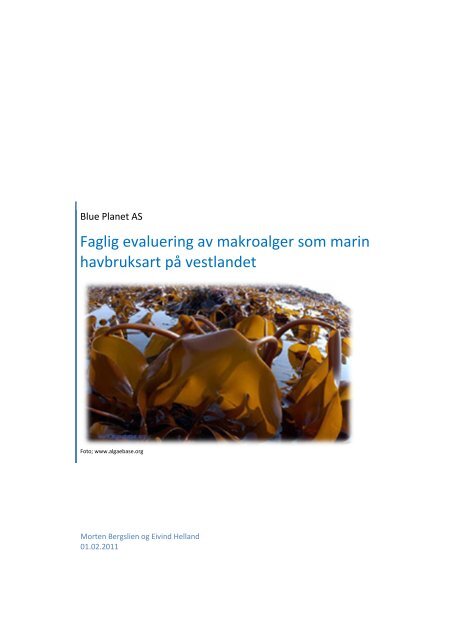 Faglig evaluering av makroalger som marin ... - RUP Norge