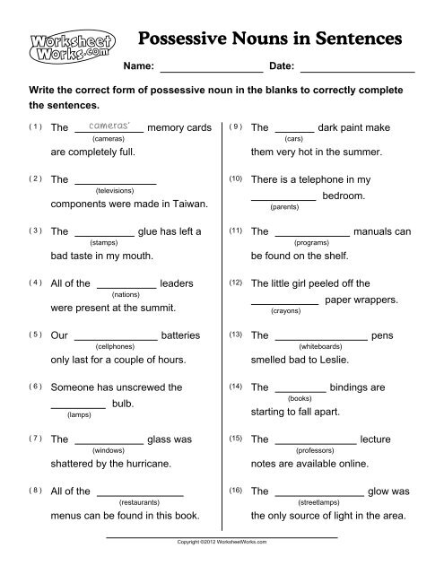 a-possessive-nouns-in-sentences