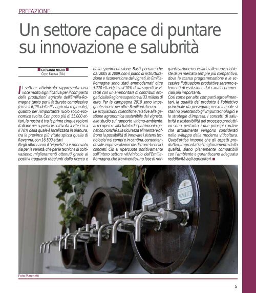 Iprogressi nella qualità dell'uva e del vino in ... - Ermes Agricoltura