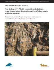 First finding of Pt-Pd-rich chromitite and platinum - Yukon Geological ...