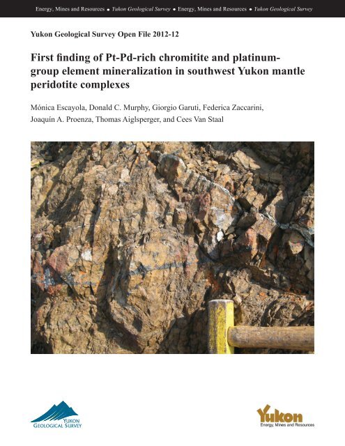 First finding of Pt-Pd-rich chromitite and platinum - Yukon Geological ...