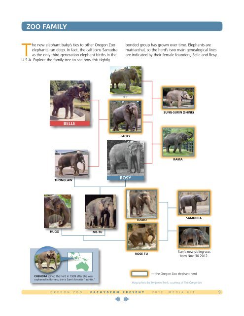 Elephant baby media kit - Oregon Zoo