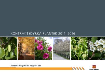 KONTRAKTSDYRKA PLANTER 2011â2016 - Statens vegvesen