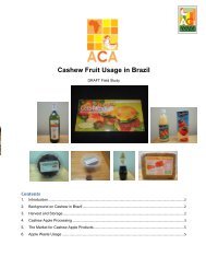 Cashew Fruit Usage in Brazil (ACA) - AGOA Toolkit