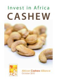 Cashew Investment Guide - African Cashew Alliance