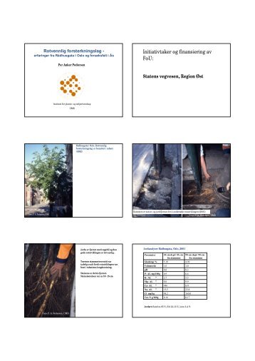 Pedersen,PA Rotvennl.forsterkingslag.pdf - FAGUS
