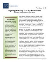 Irrigating (Watering) Your Vegetable Garden - University of Nevada ...