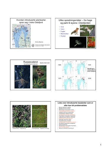 Kristina Bjureke.pdf - FAGUS