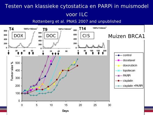 No Slide Title - NKI / AvL