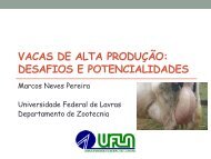 Vacas de alta desafios e potencialidades.pdf - Grupo do Leite