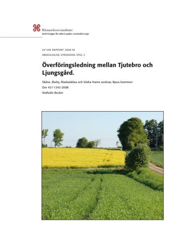 UV Syd Rapport 2008:36 - RiksantikvarieÃ¤mbetet, avdelningen fÃ¶r ...