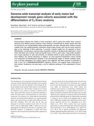 Genome-wide transcript analysis of early maize leaf development ...