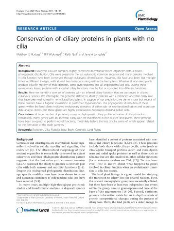 Conservation of ciliary proteins in plants with no cilia - Department of ...