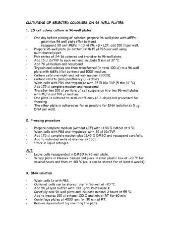 criminal justice resume templates
