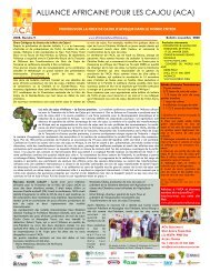 ACA newsletter nov 08 - African Cashew Alliance