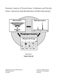 Proteomic Analysis of Protein Kinase A Substrates and Polo-like ...