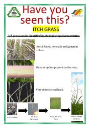 ITCH GRASS - Burdekin Shire Council