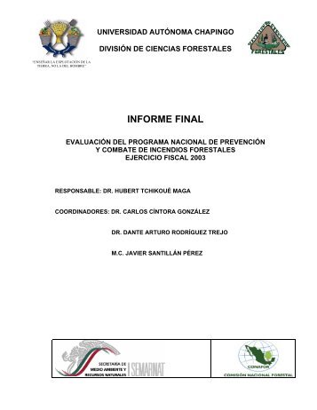 INFORME FINAL - Bolsa de Trabajo