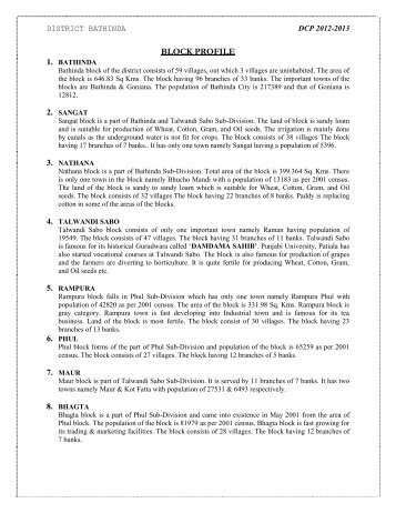 6. block profile - District Bathinda