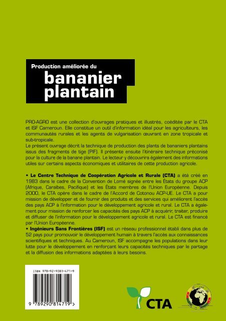 bananier plantain - Anancy