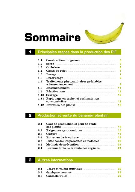 bananier plantain - Anancy
