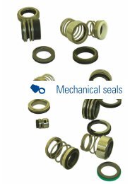 Mechanical seals - Raemsrl.it