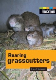 Rearing grasscutters - CTA Publishing