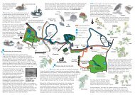Derby's Lower Derwent Trail - Derby and South Derbyshire Ramblers