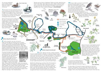Derby's Lower Derwent Trail - Derby and South Derbyshire Ramblers