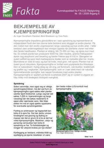 BEKJEMPELSE AV KJEMPESPRINGFRÃ - FAGUS