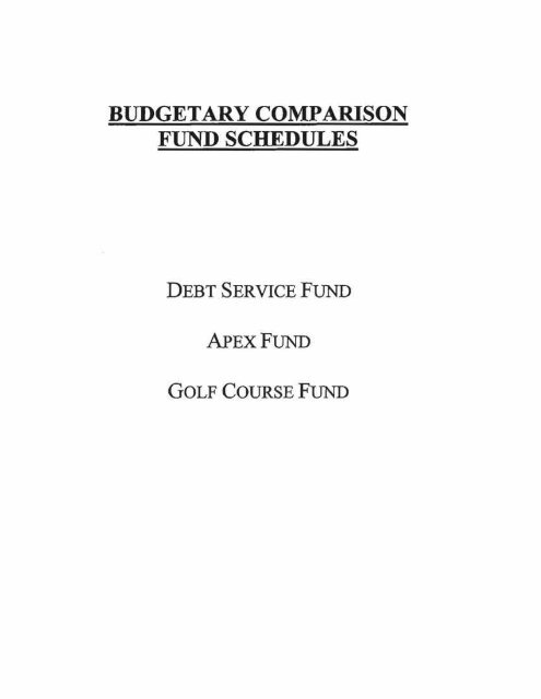 2009 Comprehensive Annual Financial Report - Apex Park and ...
