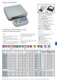 Platform scale KERN DS Industrial scale with laboratory accuracy ...