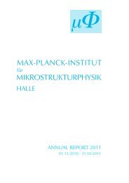 Complete report - Max-Planck-Institut für Mikrostrukturphysik - Max ...