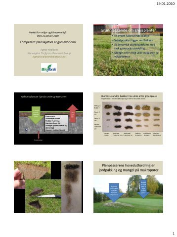 Kvalbein, A Plen.pdf - FAGUS