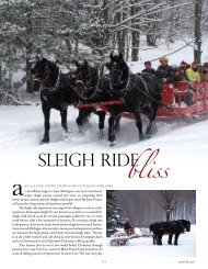 bliss SLEIGH RIDE - Michigan Home and Lifestyle