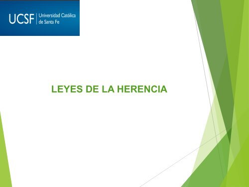 LEYES DE LA HERENCIA