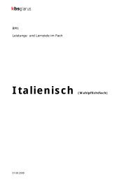 BM1 Leistungs- und Lernziele im Fach Italienisch (Wahlpflichtfach)