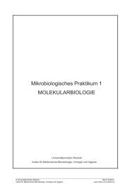 Skript Mikrobiologie 1 (Molekularbiologie) - imikro - Universität ...