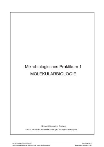 Skript Mikrobiologie 1 (Molekularbiologie) - imikro - Universität ...