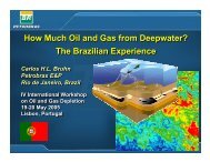 How Much Oil and Gas from Deepwater
