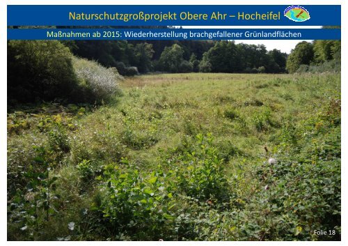 Sachstandbericht Naturschutzgroßprojekt Obere Ahr – Hocheifel