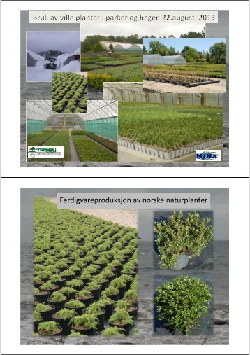 Ferdigvareproduksjon av norske naturplanter - FAGUS
