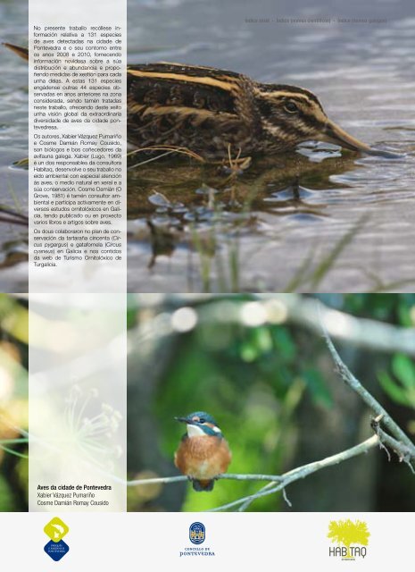 Aves_da_cidade_de_Pontevedra_baja