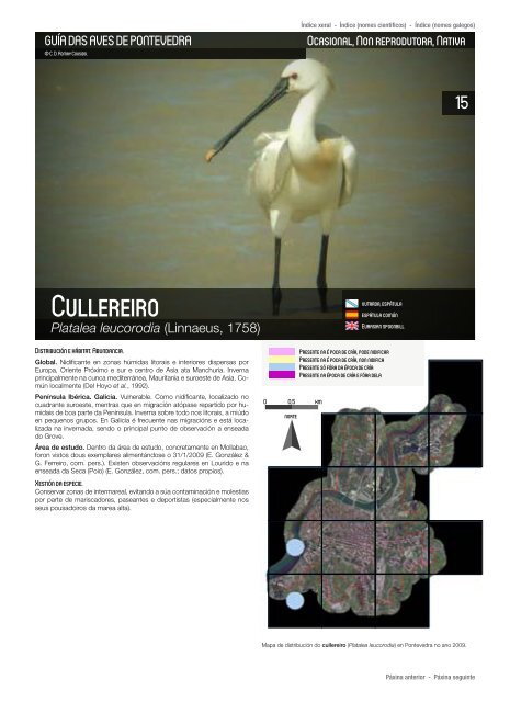 Aves_da_cidade_de_Pontevedra_baja