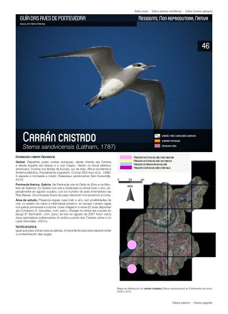 Aves_da_cidade_de_Pontevedra_baja